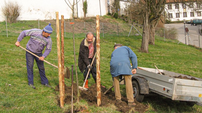 Pflanzung und Pflege von Streuobstwiesen