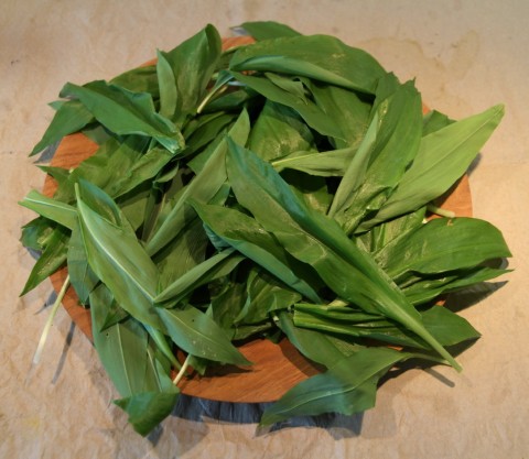 Bärlauchpesto